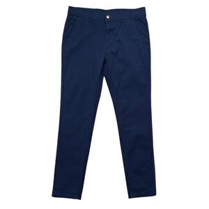 Plaid & Plain Men's Size 30 Blue Skinny Stretch Chino Pants
